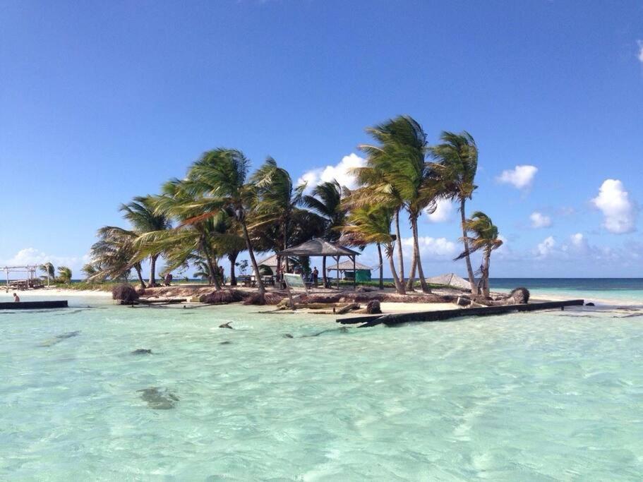 Villa en pleine nature située à 5min d'une plage Le Gosier  Extérieur photo