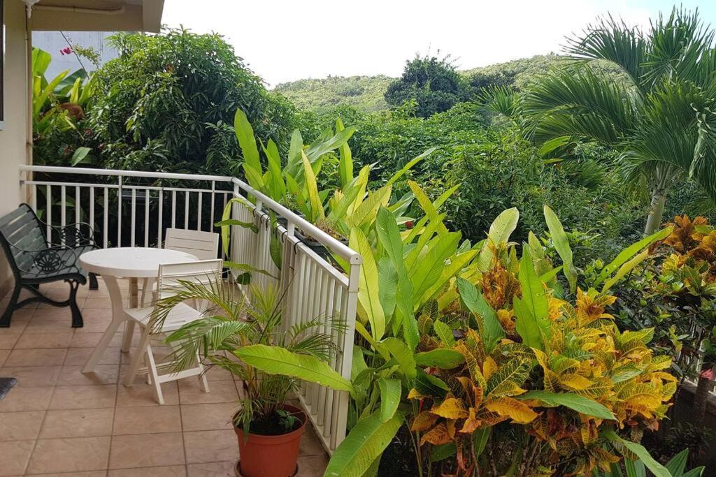 Villa en pleine nature située à 5min d'une plage Le Gosier  Extérieur photo